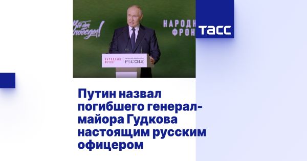 Заместитель главкома ВМФ Гудков посмертно награжден Героя звездами