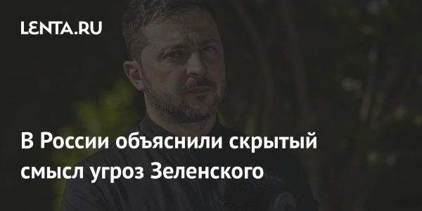 Депутат о планах Зеленского и немецкой агрессии в конфликте