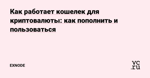 Как выбрать криптокошелек для начинающих инвесторов