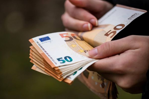 Опасности борщевика на даче и штрафы за его размножение