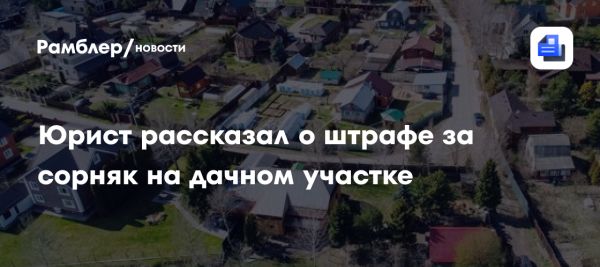 Штрафы за борщевик в России и методы его удаления