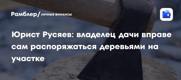 Правила удаления деревьев с дачного участка