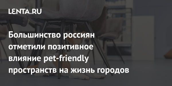 Тенденции pet-friendly пространств в России