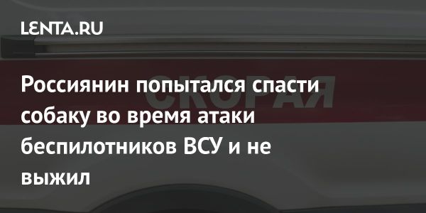Трагедия в Воронеже жертва атаки беспилотников во время спасения собаки