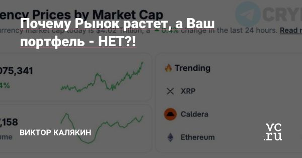 Психология инвесторов в условиях колебаний криптовалют