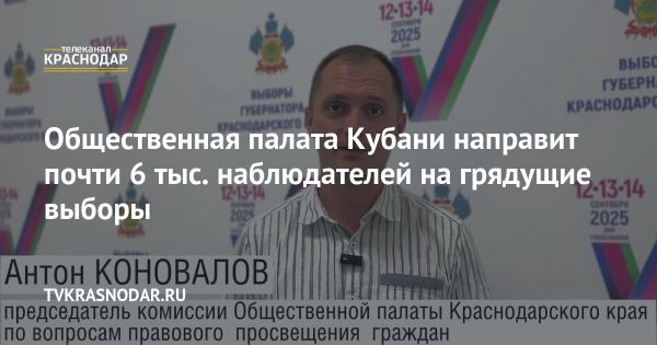 Общественная палата Краснодарского края подготовила более 5,6 тысячи наблюдателей на выборы губернатора
