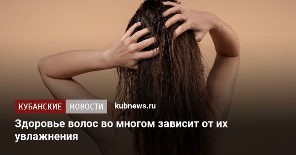 Эффективные средства для увлажнения и восстановления волос