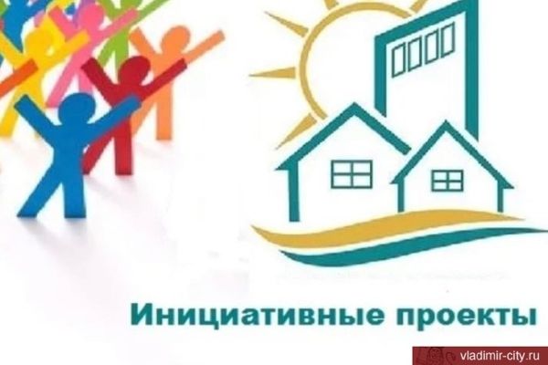 Образовательные проекты Владимира получили гранты на развитие