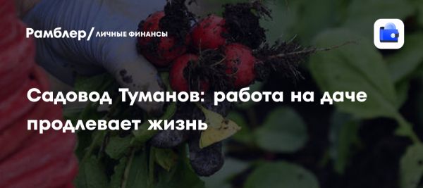 Польза физической активности на даче для здоровья
