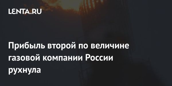 Чистая прибыль Новатэка сократилась в три раза по РСБУ за полгода