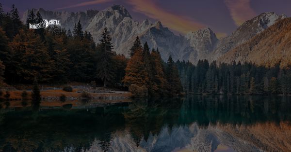 Кулинарные приключения Александра Дюма и его знаменитый рецепт карпа