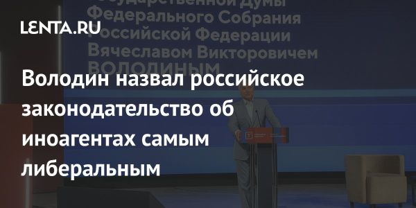 Вячеслав Володин обсудил законодательство об иностранных агентах