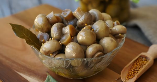 Лучшие рецепты засолки шампиньонов для разнообразия блюд