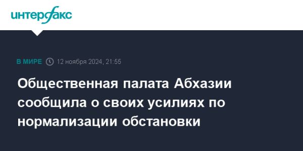 Общественная палата Абхазии способствует нормализации ситуации после политического кризиса