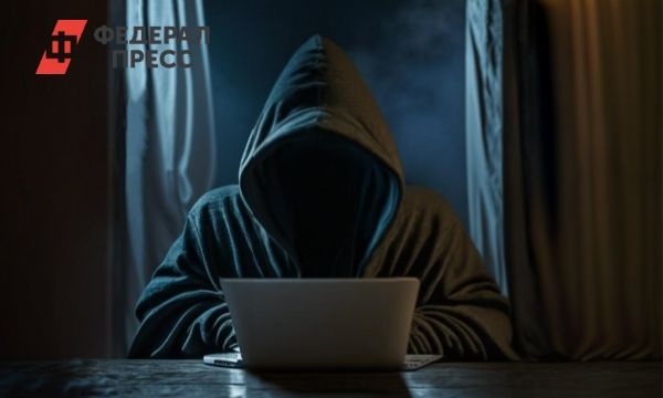 Приговор кибермошеннику в Екатеринбурге за кражу 20 миллионов у пенсионеров