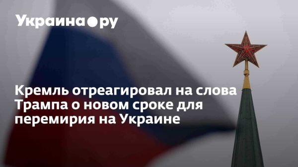 Кремль отреагировал на заявление Трампа о сроке перемирия на Украине