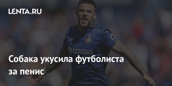 Карлес Перес госпитализирован после укуса собаки на Кипре