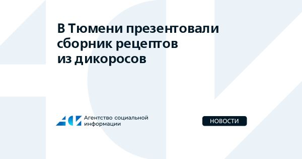 Презентация сборника рецептов из дикоросов и благотворительные инициативы в России