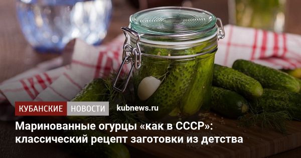 Популярный рецепт маринованных огурцов как в СССР