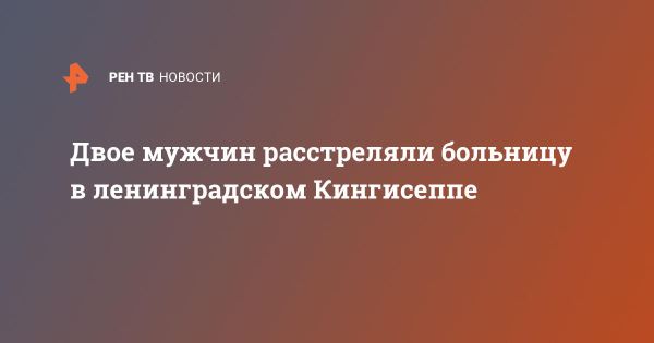 Стрельба из окна в Кингисеппе вызывает обеспокоенность властей