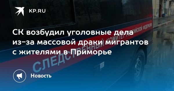 Массовая драка во Владивостоке вызывает общественный резонанс