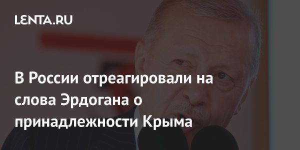 Реакция Колесника на слова Эрдогана о Крыме