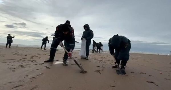 Предложение по комплексной очистке Черного моря от нефтяного загрязнения