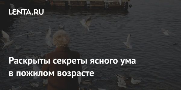 Секреты поддержания умственной активности в пожилом возрасте