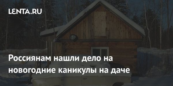 Подготовка дачного участка к весеннему посеву зимой