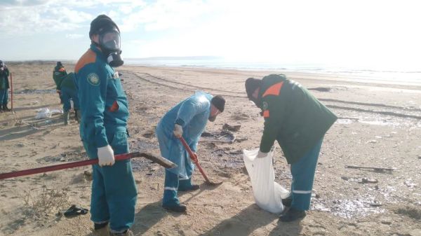 Загрязнение Черного моря угрожает туризму и экосистемам Краснодарского края