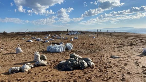 Опасность морепродуктов из загрязненного Черного моря