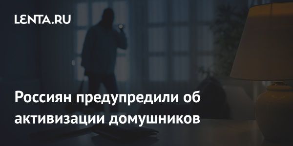 Безопасность жилья во время новогодних поездок