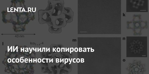 Разработка метода копирования вирусных структур с помощью искусственного интеллекта